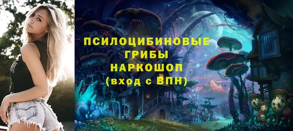 винт Армянск