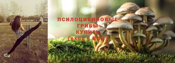 гидропоника Аркадак